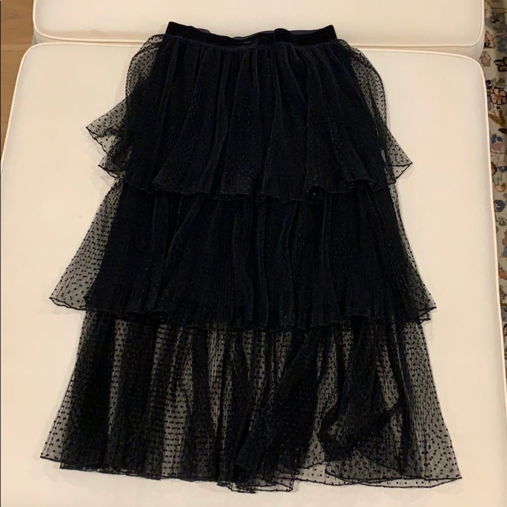 Zara Swiss Dot Tulle Layered Skirt